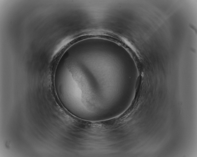 X0000091581456200708271210