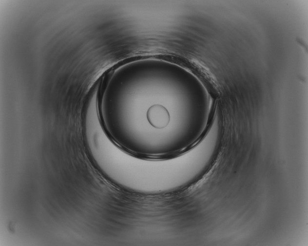 X0000091581457200708271210