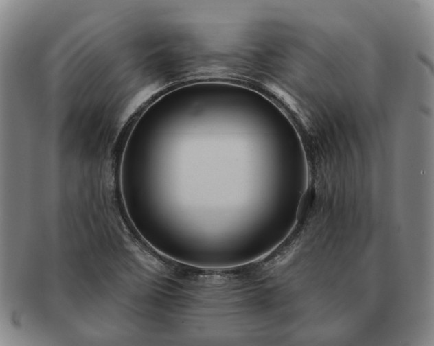 X0000091581458200708271210