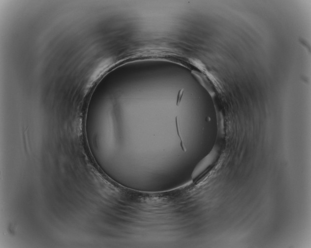 X0000091581459200708271210