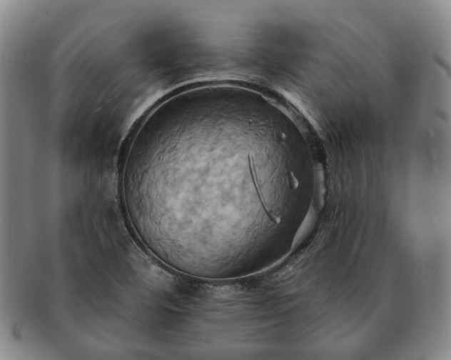 X0000091581460200708271210