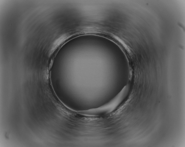 X0000091581461200708271210