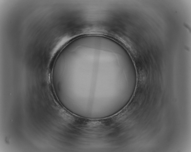 X0000091581462200708271210