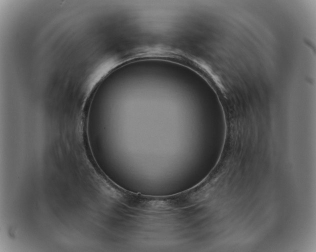 X0000091581463200708271210