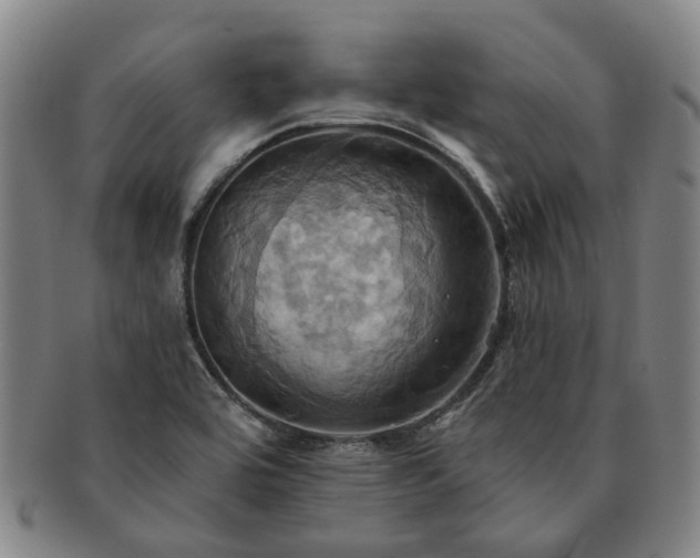 X0000091581464200708271210