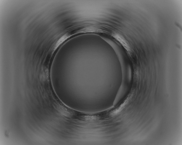 X0000091581465200708271210