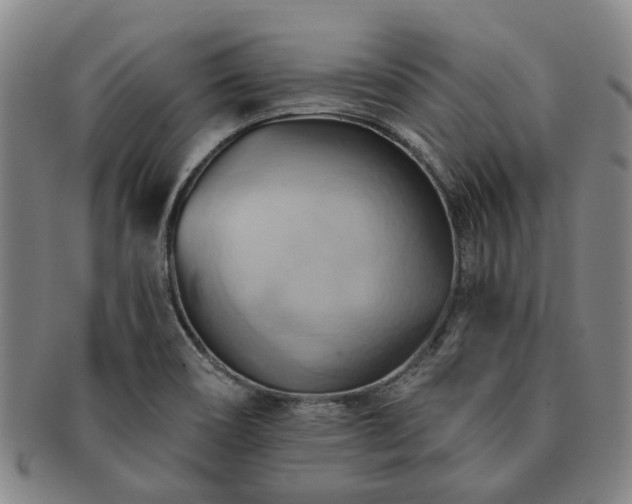X0000091581466200708271210