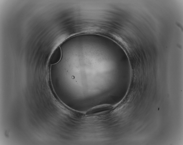 X0000091581467200708271210