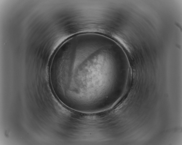 X0000091581468200708271210