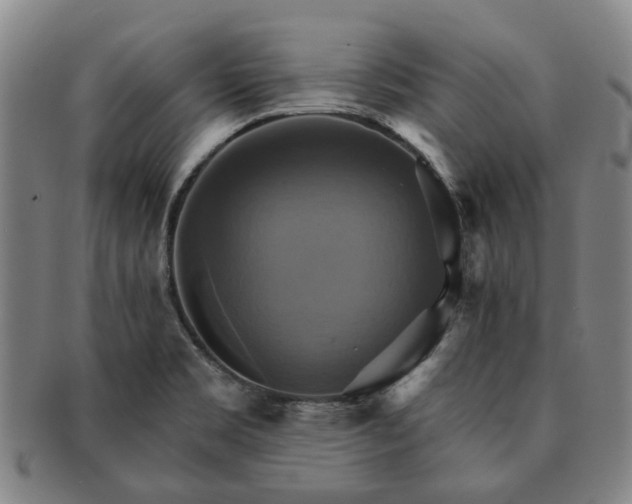X0000091581469200708271210