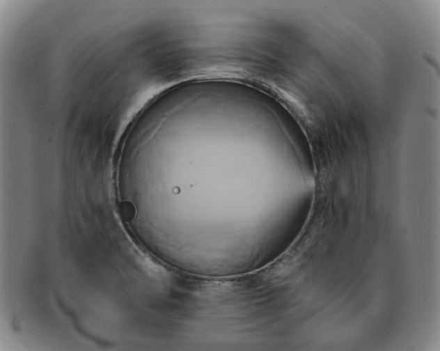 X0000091581470200708271210