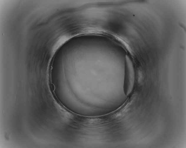 X0000091581471200708271210