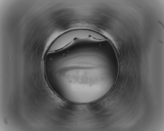 X0000091581472200708271210