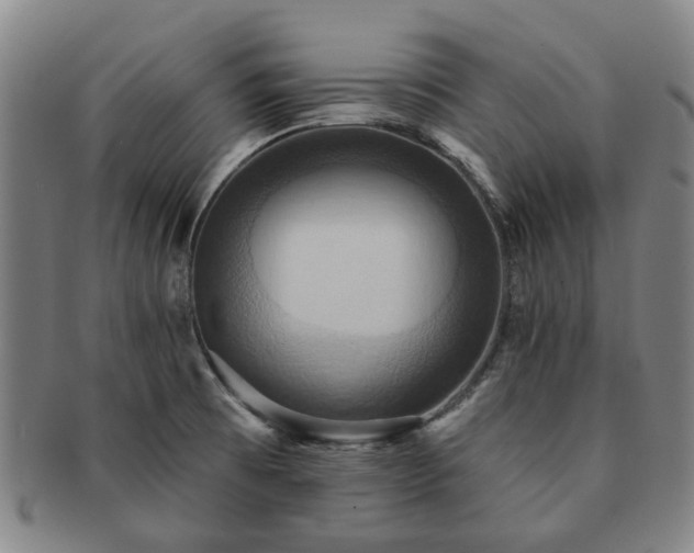 X0000091581473200708271210