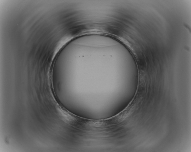 X0000091581474200708271210