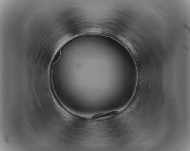 X0000091581475200708271210