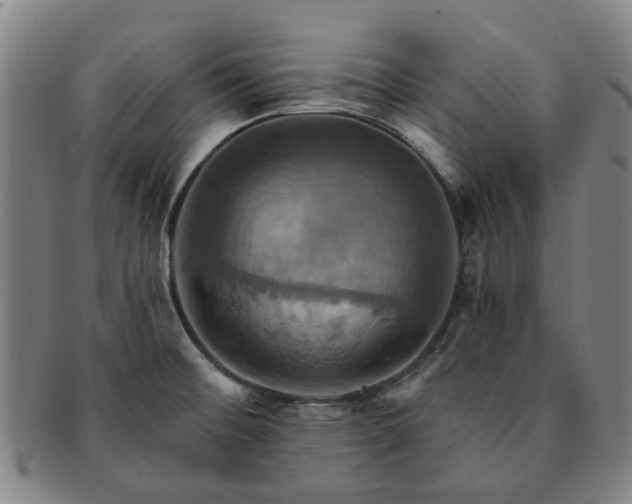 X0000091581476200708271210