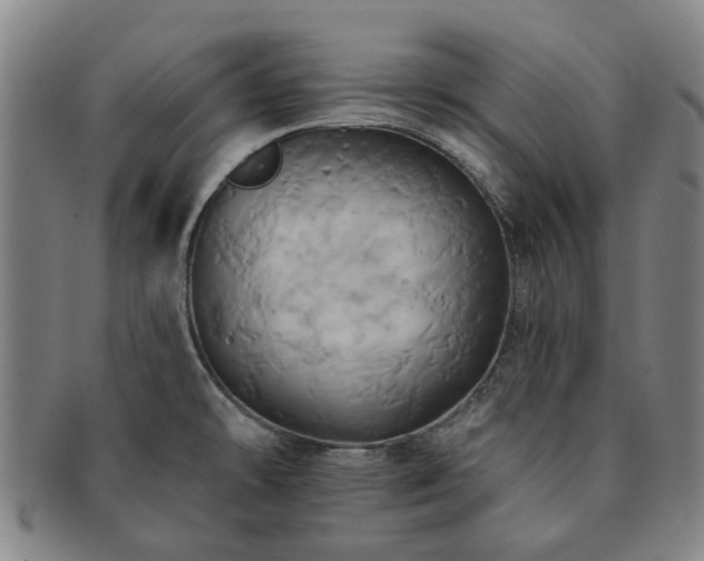X0000091581478200708271210