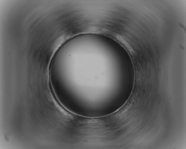 X0000091581479200708271209