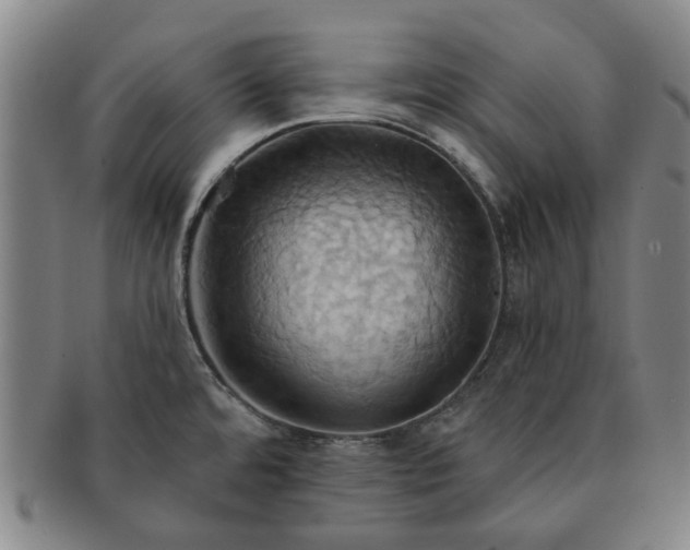 X0000091581480200708271209