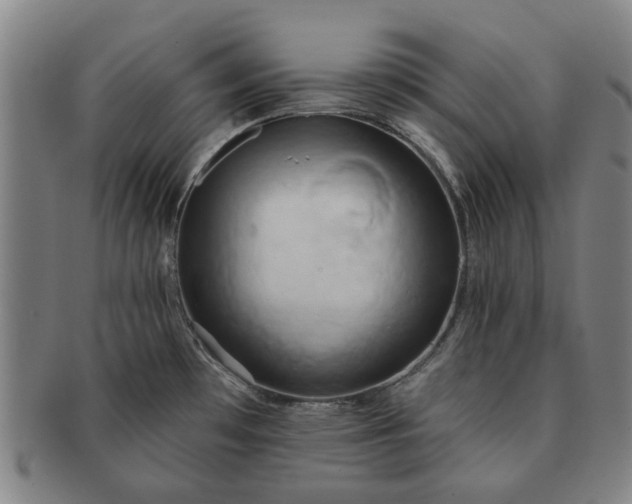 X0000091581481200708271209