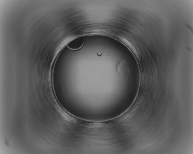 X0000091581482200708271209