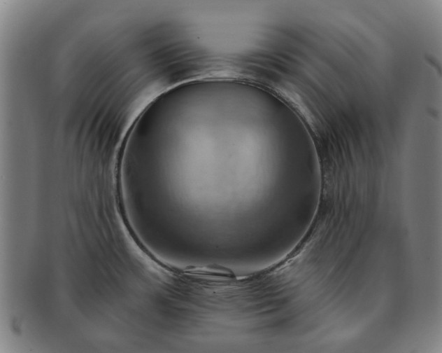 X0000091581483200708271209