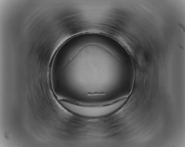 X0000091581484200708271209