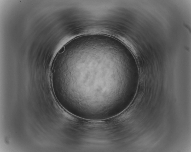 X0000091581486200708271209