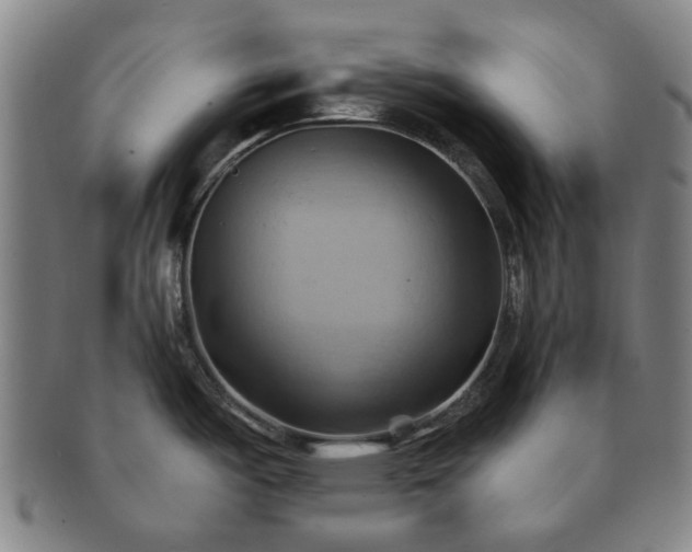 X0000091581487200708271209