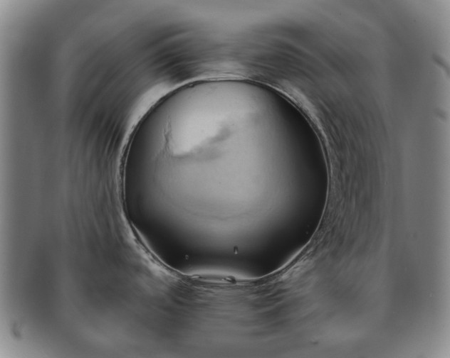 X0000091581488200708271209