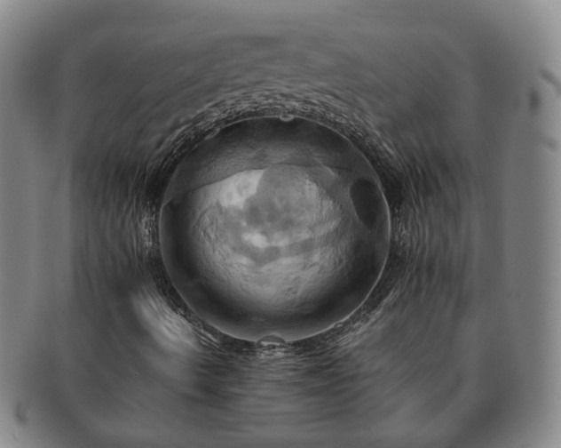 X0000091581490200708271209