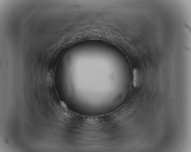 X0000091581491200708271209