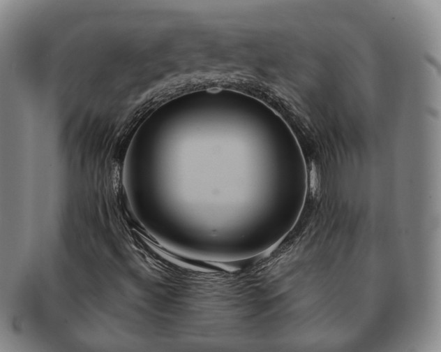 X0000091581492200708271209