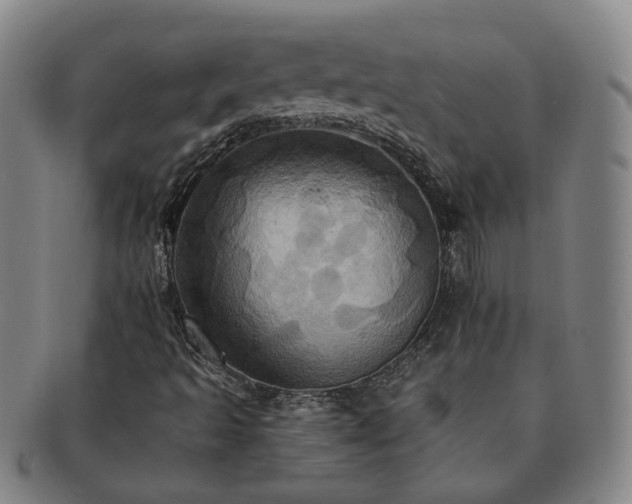 X0000091581493200708271209