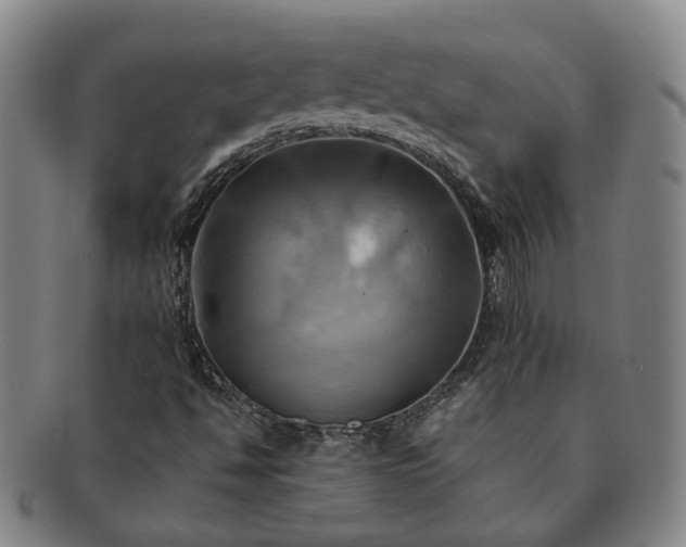 X0000091581494200708271209
