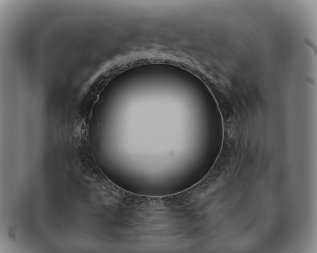X0000091581495200708271209