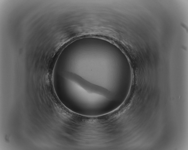X0000091581497200708271209