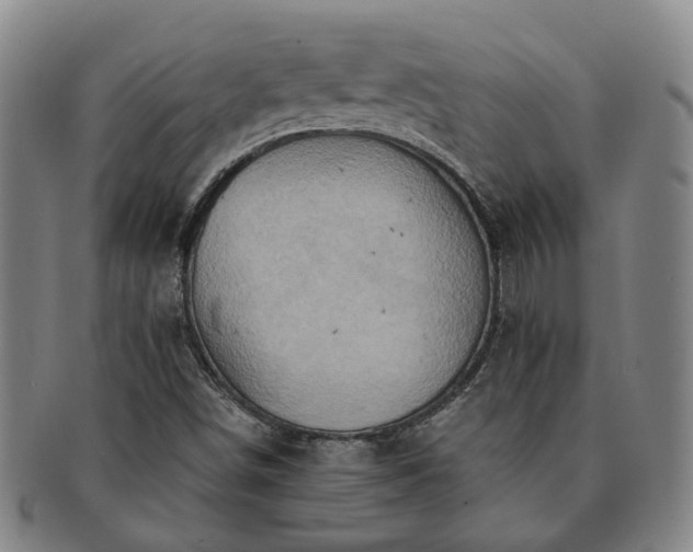 X0000091581498200708271209