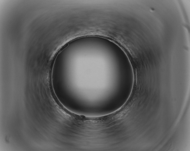 X0000091581500200708271209