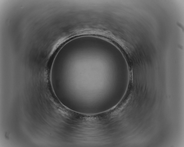 X0000091581501200708271209