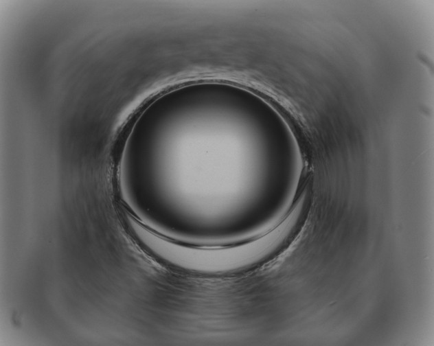 X0000091581502200708271209