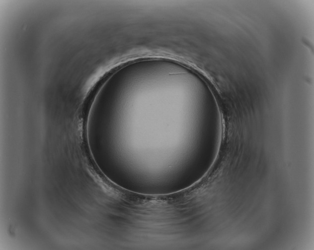 X0000091581503200708271209