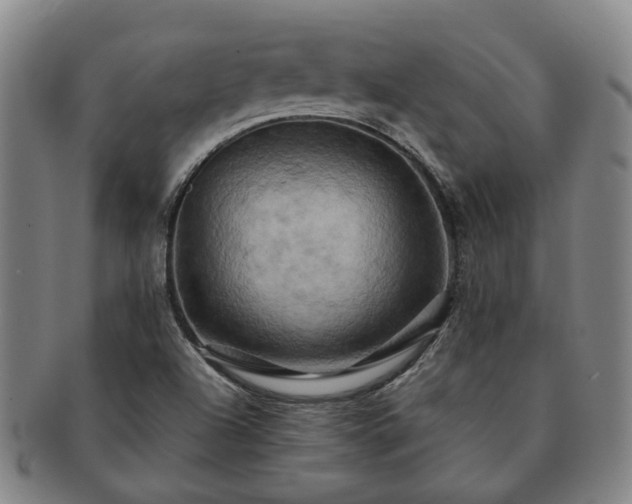 X0000091581504200708271209