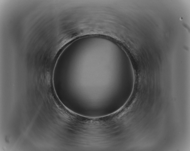 X0000091581505200708271209