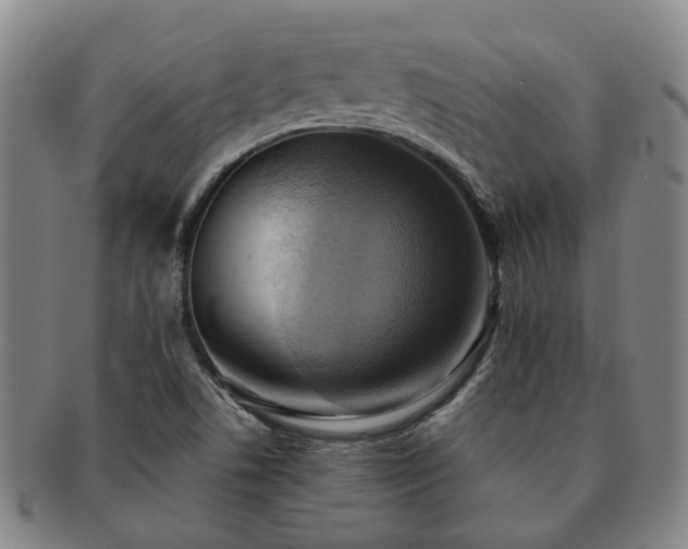 X0000091581506200708271209