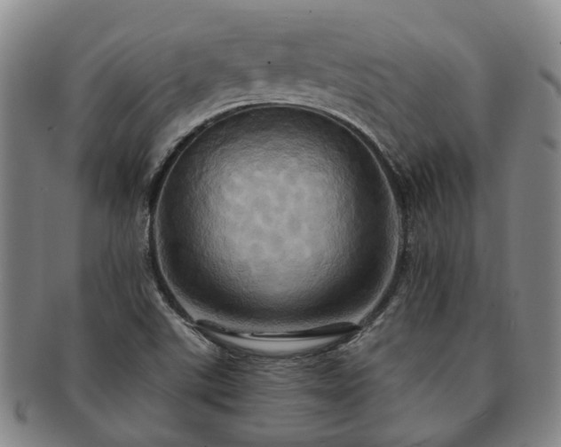 X0000091581507200708271209