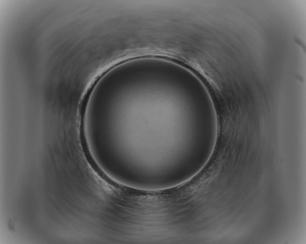 X0000091581508200708271209