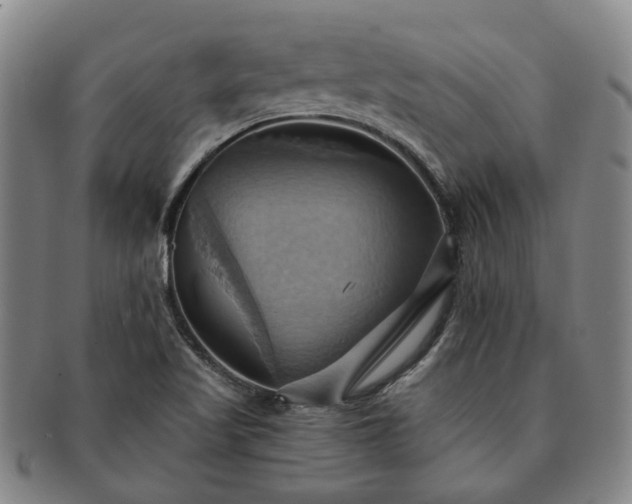 X0000091581509200708271209