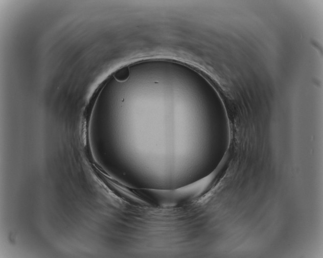 X0000091581510200708271209